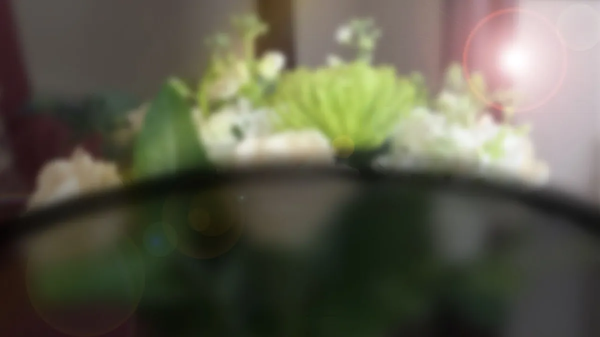 Simulação da visão de um olho com gás após vitrectomia: um buquê de flores com a metade inferior borrada e uma linha horizontal marcando o nível da bolha.