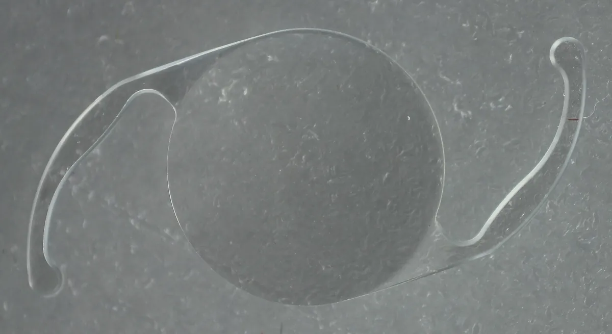 Lente intraocular transparente com duas alças laterais sobre uma superfície clara.
