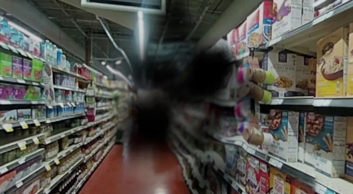 Simulação da visão de uma pessoa com degeneração macular em um corredor de supermercado: uma mancha escura e borrada no centro da cena.
