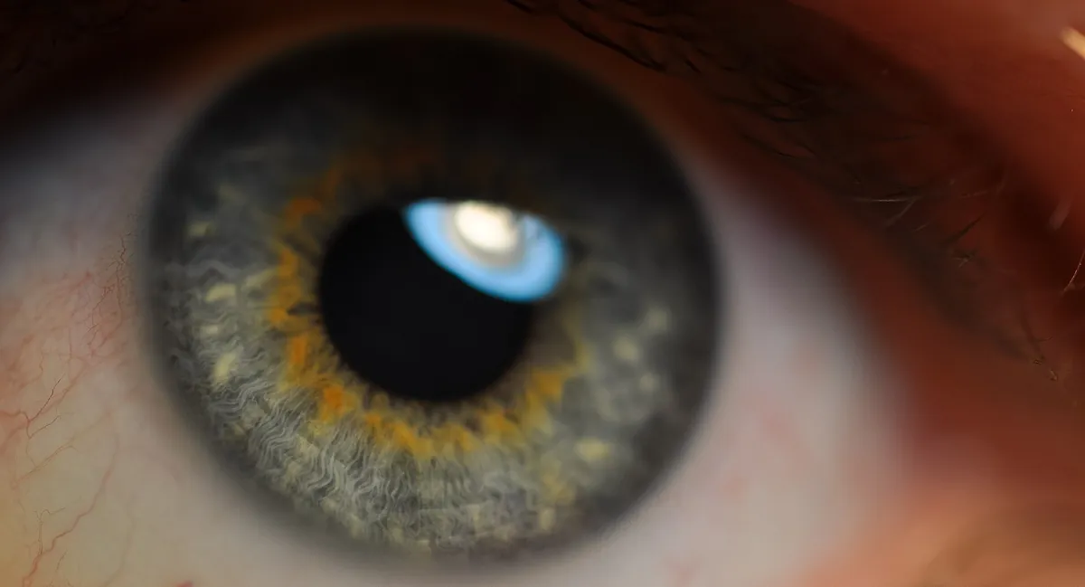Close de olho com reflexo luminoso na superfície ocular.